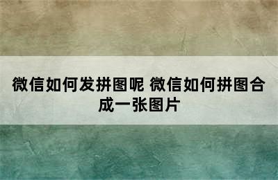 微信如何发拼图呢 微信如何拼图合成一张图片